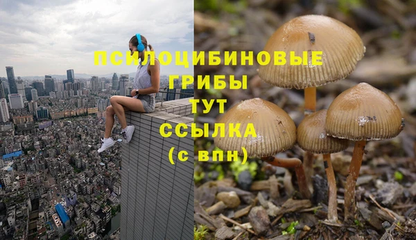 MESCALINE Белокуриха