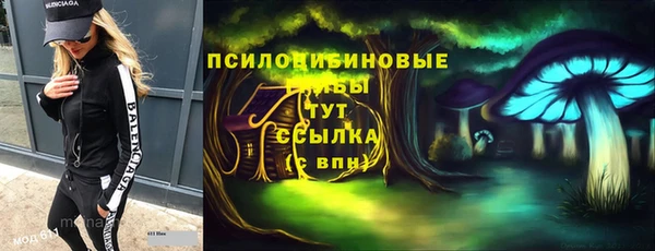 ГАЛЛЮЦИНОГЕННЫЕ ГРИБЫ Беломорск