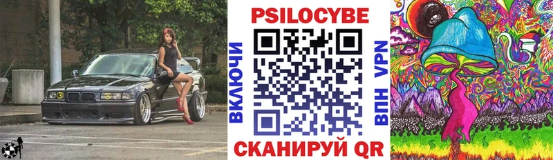Псилоцибиновые грибы мухоморы  где купить наркотик  Будённовск 
